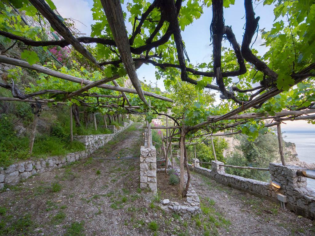 Вілла Cannaverde - Amalfi Coast Camp Майорі Екстер'єр фото